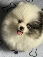 processed/8e0a9a15-6ecc-4226-af9c-282d6b77b387/facility/15566439-3e23-492b-b08d-cce015fa9e80