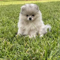 processed/8e0a9a15-6ecc-4226-af9c-282d6b77b387/facility/1ae97712-029d-4149-9137-1c96c17bc627