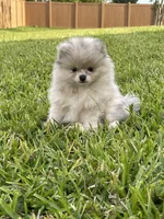 processed/8e0a9a15-6ecc-4226-af9c-282d6b77b387/facility/1ae97712-029d-4149-9137-1c96c17bc627