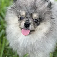 processed/8e0a9a15-6ecc-4226-af9c-282d6b77b387/facility/23cf5756-18b2-432b-9138-001b24eeaccc