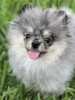 processed/8e0a9a15-6ecc-4226-af9c-282d6b77b387/facility/23cf5756-18b2-432b-9138-001b24eeaccc