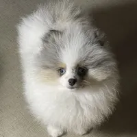 processed/8e0a9a15-6ecc-4226-af9c-282d6b77b387/facility/4c0fe79c-e23c-4f37-a552-263b563d774b