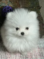 processed/8e0a9a15-6ecc-4226-af9c-282d6b77b387/facility/4caee95f-4a87-4746-9db2-30ed5e13f37d