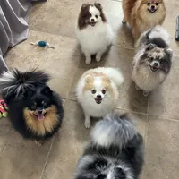 processed/8e0a9a15-6ecc-4226-af9c-282d6b77b387/facility/77982c8e-2dd6-43cb-99cb-1f4f029bd4b0