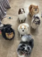 processed/8e0a9a15-6ecc-4226-af9c-282d6b77b387/facility/77982c8e-2dd6-43cb-99cb-1f4f029bd4b0