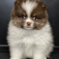 processed/8e0a9a15-6ecc-4226-af9c-282d6b77b387/facility/7a942b7b-0d08-41a1-8a47-9b2a44b8aa34