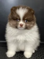 processed/8e0a9a15-6ecc-4226-af9c-282d6b77b387/facility/7a942b7b-0d08-41a1-8a47-9b2a44b8aa34