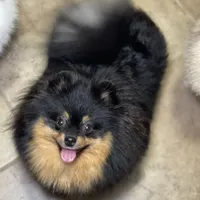 processed/8e0a9a15-6ecc-4226-af9c-282d6b77b387/facility/8a7b6c9d-dc65-4022-88e6-6ccc278daa43