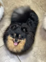 processed/8e0a9a15-6ecc-4226-af9c-282d6b77b387/facility/8a7b6c9d-dc65-4022-88e6-6ccc278daa43