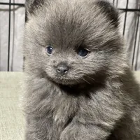 processed/8e0a9a15-6ecc-4226-af9c-282d6b77b387/facility/a1cf2a3d-12ca-4b48-8868-f2adfd4a197b