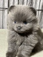 processed/8e0a9a15-6ecc-4226-af9c-282d6b77b387/facility/a1cf2a3d-12ca-4b48-8868-f2adfd4a197b