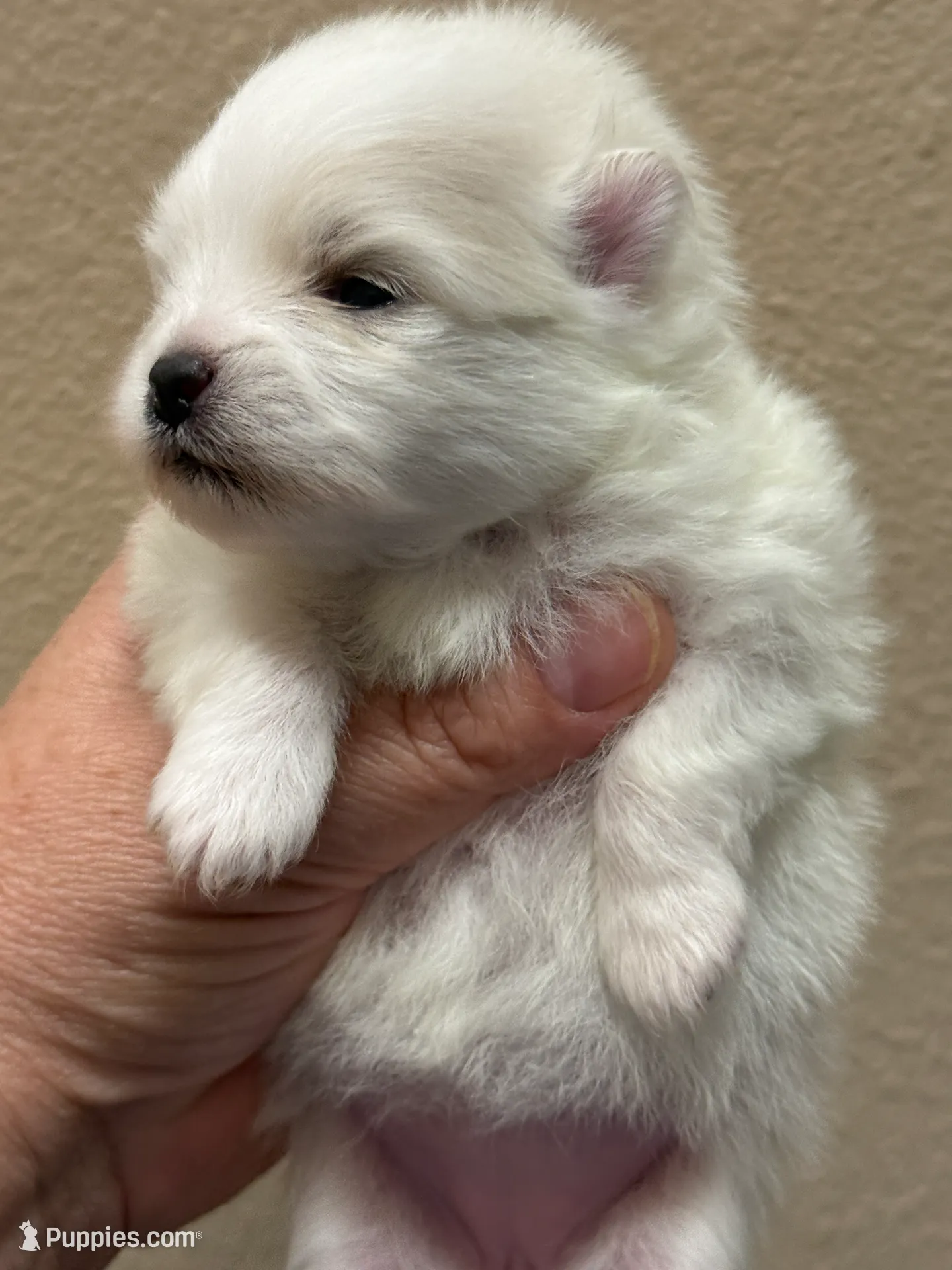 processed/8e0a9a15-6ecc-4226-af9c-282d6b77b387/listing/56d1fbea-ce5f-441f-a408-2d0725bf17dd/071488ba-427b-437a-a592-b462cae62eb1