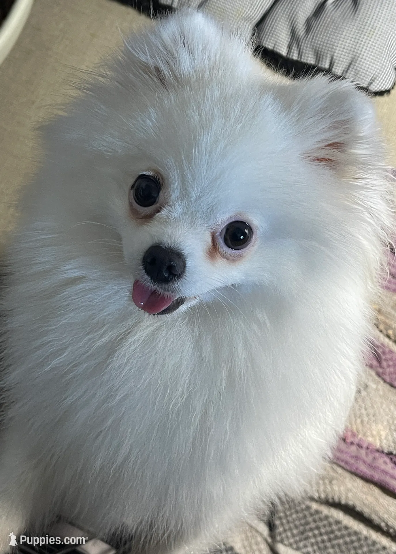 processed/8e0a9a15-6ecc-4226-af9c-282d6b77b387/listing/56d1fbea-ce5f-441f-a408-2d0725bf17dd/dc18ce00-5eb0-430b-b910-e38c9b70ad22