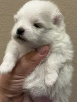 processed/8e0a9a15-6ecc-4226-af9c-282d6b77b387/listing/56d1fbea-ce5f-441f-a408-2d0725bf17dd/fe5a74b8-00ff-42c6-9745-f2d386fcf74f