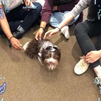 processed/8e125734-12ed-4b16-b315-af07b651719b/facility/02ff7088-6bcb-462c-a723-8821dd28340d