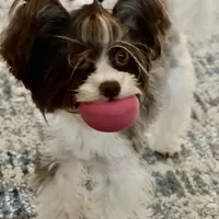 processed/8e125734-12ed-4b16-b315-af07b651719b/facility/30099716-f0b9-4e64-b207-3937d17cb335