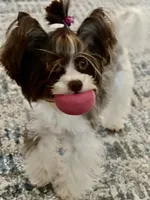 processed/8e125734-12ed-4b16-b315-af07b651719b/facility/30099716-f0b9-4e64-b207-3937d17cb335