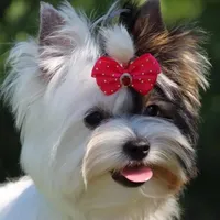 processed/8e125734-12ed-4b16-b315-af07b651719b/facility/7ae6257d-70a6-425a-9553-bfdcbb20d8a4