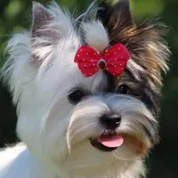 processed/8e125734-12ed-4b16-b315-af07b651719b/facility/7ae6257d-70a6-425a-9553-bfdcbb20d8a4