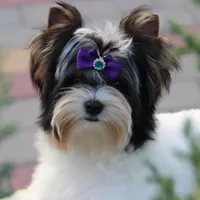 processed/8e125734-12ed-4b16-b315-af07b651719b/facility/edb9c490-9920-4410-ac79-c69f09b1eb7a