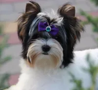 processed/8e125734-12ed-4b16-b315-af07b651719b/facility/edb9c490-9920-4410-ac79-c69f09b1eb7a