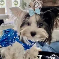 processed/8e125734-12ed-4b16-b315-af07b651719b/facility/f51ded28-4981-4e6c-9bd8-be11dd350f36