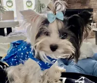 processed/8e125734-12ed-4b16-b315-af07b651719b/facility/f51ded28-4981-4e6c-9bd8-be11dd350f36