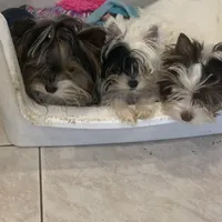 processed/8e125734-12ed-4b16-b315-af07b651719b/facility/fe731816-fd1a-4e3c-84b1-29ff92a289a9