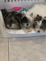 processed/8e125734-12ed-4b16-b315-af07b651719b/facility/fe731816-fd1a-4e3c-84b1-29ff92a289a9