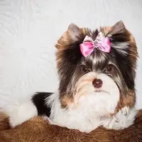 processed/8e125734-12ed-4b16-b315-af07b651719b/facility/ff8a0268-1426-42d5-98aa-a057ccdc2ff1