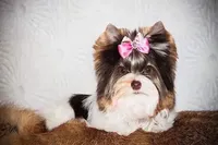 processed/8e125734-12ed-4b16-b315-af07b651719b/facility/ff8a0268-1426-42d5-98aa-a057ccdc2ff1