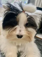 processed/8e125734-12ed-4b16-b315-af07b651719b/listing/0a0c4e95-0dd6-4f32-ba18-d5c8ef53167a/13077ae5-fc71-40a6-a112-feb0b996bf8d