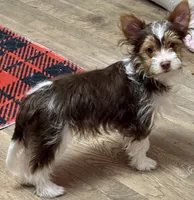 processed/8e125734-12ed-4b16-b315-af07b651719b/listing/11b476b2-660e-4a9c-807d-3743b18d8f81/1ef4aaa3-8d59-4229-82f7-f57a7f25d22d