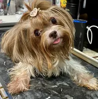 processed/8e125734-12ed-4b16-b315-af07b651719b/listing/11b476b2-660e-4a9c-807d-3743b18d8f81/714b8fd0-abe4-4087-82e2-28d0266d7945