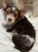 processed/8e125734-12ed-4b16-b315-af07b651719b/listing/11b476b2-660e-4a9c-807d-3743b18d8f81/a03ae545-25e8-454b-a9a3-766837bc5743