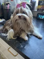 processed/8e125734-12ed-4b16-b315-af07b651719b/listing/247e16f7-f2f2-41ba-aac1-4e3142ae365d/59e6b0ec-a67b-4b9f-b189-9e9b8aec316a