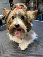 processed/8e125734-12ed-4b16-b315-af07b651719b/listing/7a0fae7d-f439-46c7-92ed-213e7f0e600f/8e2500ee-f42b-415a-b7cc-cb0d3b24c2b4