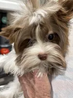 processed/8e125734-12ed-4b16-b315-af07b651719b/listing/7a0fae7d-f439-46c7-92ed-213e7f0e600f/ef7fee08-6562-46f5-b65d-540ec27b5693