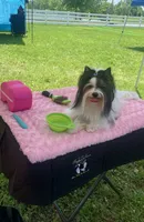 processed/8e125734-12ed-4b16-b315-af07b651719b/listing/9d3dc1b3-7d0c-4cf4-bd89-aba2aff8be48/2e7940aa-a8bb-4f83-8312-03a8a0f15215