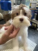 processed/8e125734-12ed-4b16-b315-af07b651719b/listing/9d3dc1b3-7d0c-4cf4-bd89-aba2aff8be48/64385df6-cdf5-4755-bf35-050ede86d0c5