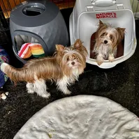 processed/8e125734-12ed-4b16-b315-af07b651719b/listing/9d3dc1b3-7d0c-4cf4-bd89-aba2aff8be48/ecec709d-d2dc-4040-8691-feb97d3b1039