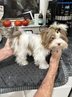 processed/8e125734-12ed-4b16-b315-af07b651719b/listing/cc9212e0-204e-4cbd-9285-a7f7493488f5/3e85e24c-743f-4ed5-aaa6-5631b5fe0244