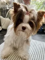 processed/8e125734-12ed-4b16-b315-af07b651719b/listing/cc9212e0-204e-4cbd-9285-a7f7493488f5/6b3a023f-2a59-45ad-be72-aa9a81e0bf4e