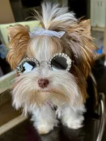 processed/8e125734-12ed-4b16-b315-af07b651719b/listing/cc9212e0-204e-4cbd-9285-a7f7493488f5/76e40c34-ae40-4a84-a033-43264b6c8921