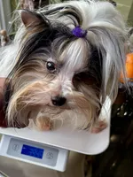 processed/8e125734-12ed-4b16-b315-af07b651719b/listing/cc9212e0-204e-4cbd-9285-a7f7493488f5/79076ed1-17b9-4276-b150-9d4c091cbf29