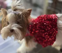 processed/8e125734-12ed-4b16-b315-af07b651719b/listing/cc9212e0-204e-4cbd-9285-a7f7493488f5/9a8ccdc7-f51d-4cbb-95a7-d33e1e904320