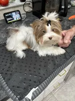 processed/8e125734-12ed-4b16-b315-af07b651719b/listing/cc9212e0-204e-4cbd-9285-a7f7493488f5/d66a21bf-640c-40a9-bd2c-52269a73dbbf