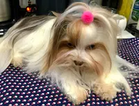 processed/8e125734-12ed-4b16-b315-af07b651719b/listing/dae6f78c-62c0-4720-84bf-33f0935d6b07/09263085-dd8e-407e-8345-25604672f671