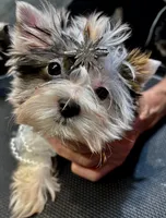 processed/8e125734-12ed-4b16-b315-af07b651719b/listing/dae6f78c-62c0-4720-84bf-33f0935d6b07/35b1e917-0c52-4dd3-94cb-58137dbc9f33