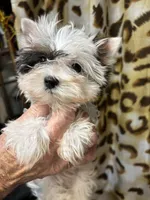 processed/8e125734-12ed-4b16-b315-af07b651719b/listing/dae6f78c-62c0-4720-84bf-33f0935d6b07/f66817dd-3567-4c1d-9db3-1ce1f43dc0f9